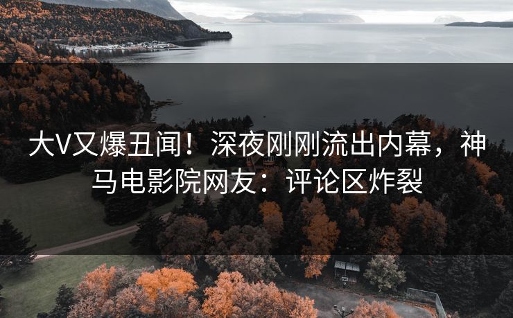 大V又爆丑闻！深夜刚刚流出内幕，神马电影院网友：评论区炸裂