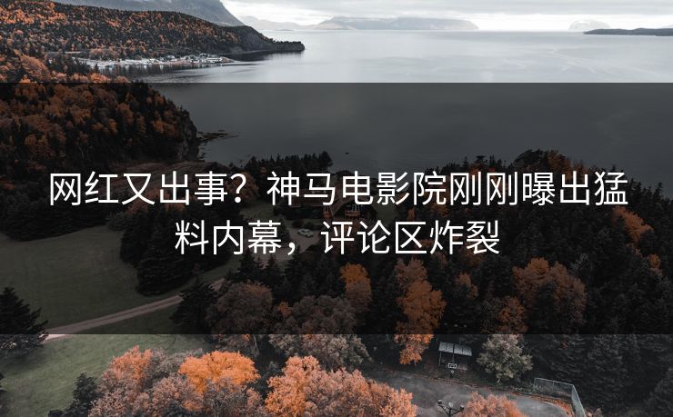 网红又出事？神马电影院刚刚曝出猛料内幕，评论区炸裂