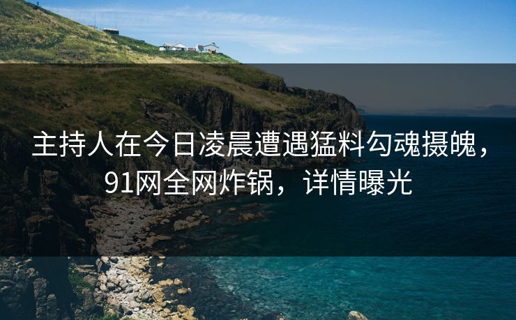 主持人在今日凌晨遭遇猛料勾魂摄魄，91网全网炸锅，详情曝光